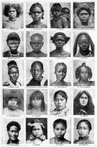 Menschenrassen. I. 1. Australierin. 2. Australierin. 3. Papua. 4. Frau vom Bismarckarchipel. 5. Buschmannweib. 6. Akka. 7. Niam-Niam. 8. Herero. 9. Bantu-Zulu. 10. Madagassin. Sansibar-Zulu 11. Togonegerin. 12. Sudannegerin. 13. Feuerländerin. 14. Karayá. 15. Araukanerin. 16. Maori. 17. Samoanerin. 18. Dajak. 19. Batak. 20. Javanin.